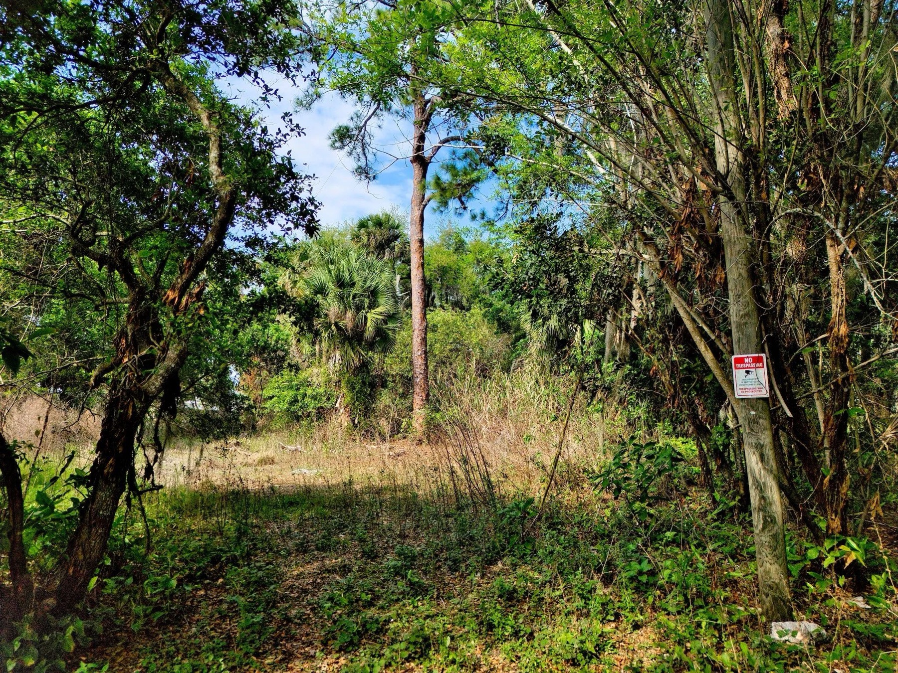 Quiet, Private Setting