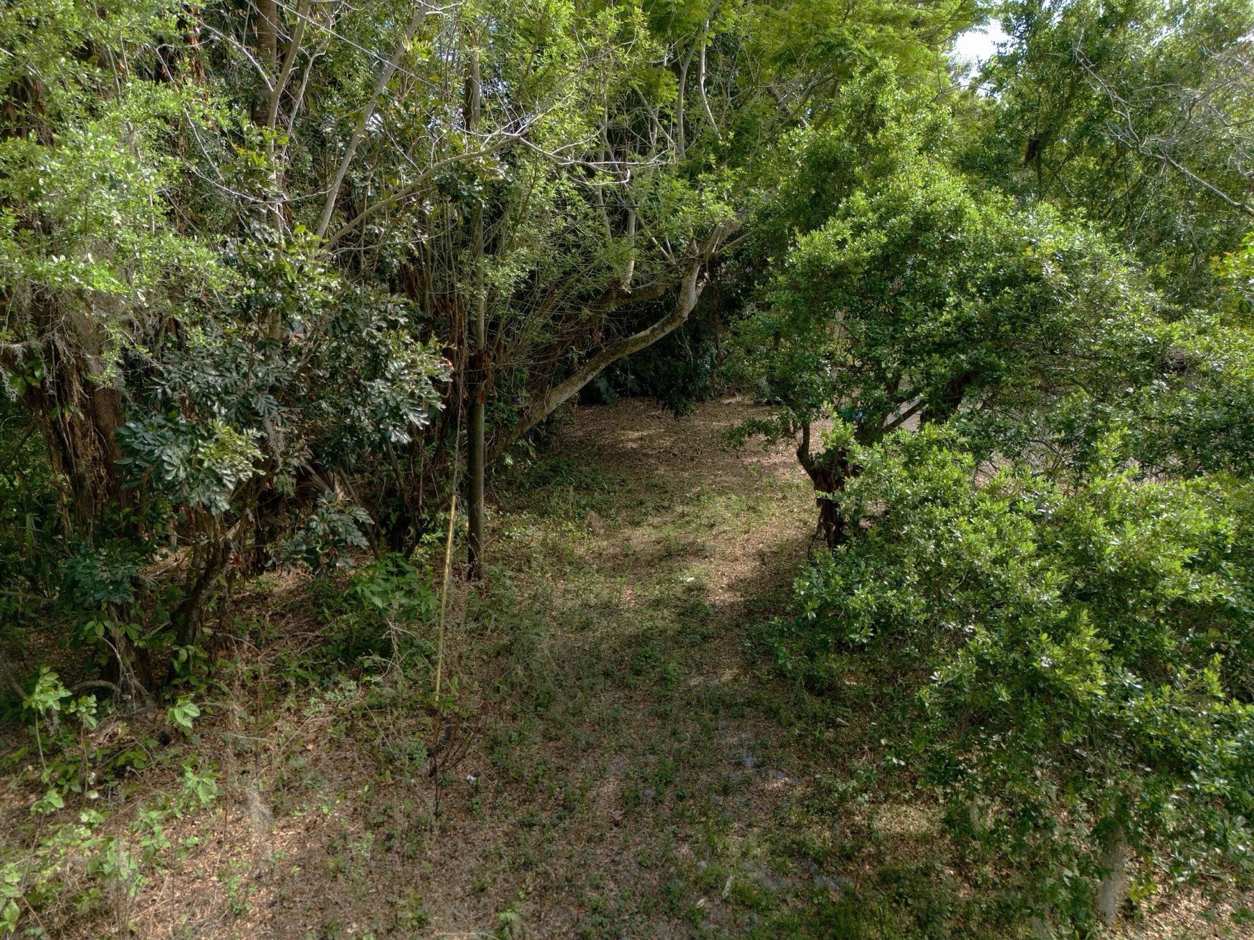 Aerial view — 1202 Australian Ave